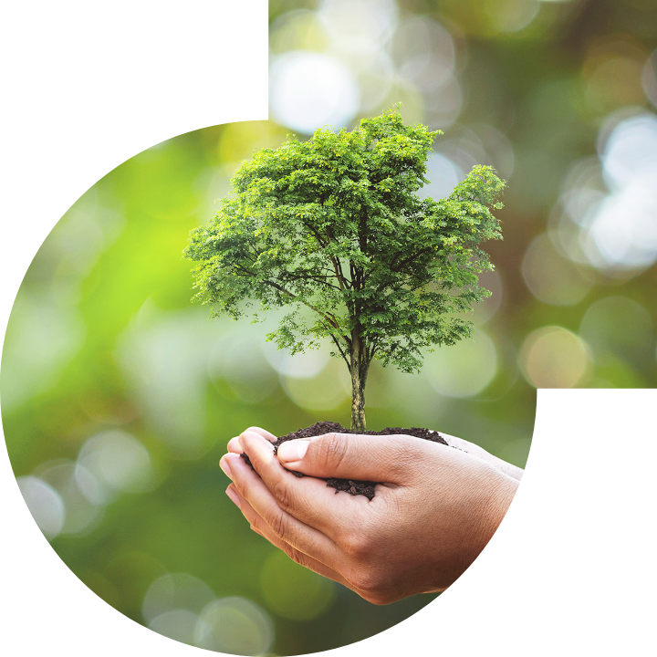 关怀人类、文化、环境与社会